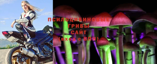 не бодяженный Лагань