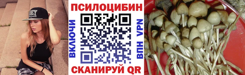 Псилоцибиновые грибы GOLDEN TEACHER  Купить  Белорецк 